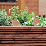 thumbnail of Relaxdays Tonkegel Bewässerung, 4er Set, Gießkugel für Zimmerpflanzen und Balkonkästen, H x D: 11,5 x 6 cm, terrakotta