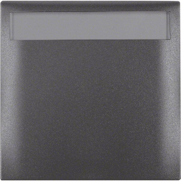 Berker Rahmen 1f.anth 919882505