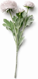thumbnail of Künstliche Ranunkel Zartrosa wie echt - Kunstblume 3 Blüten Deko