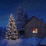 thumbnail of ROTPFEIL für außen  Lichterkette außen 15er Schaftlampen  16 V/3 W