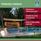 thumbnail of Paulmann Plug & Shine Spot LED Luminaire de bassin Spot individuel  IP68 3000K 4W   Noir 94209