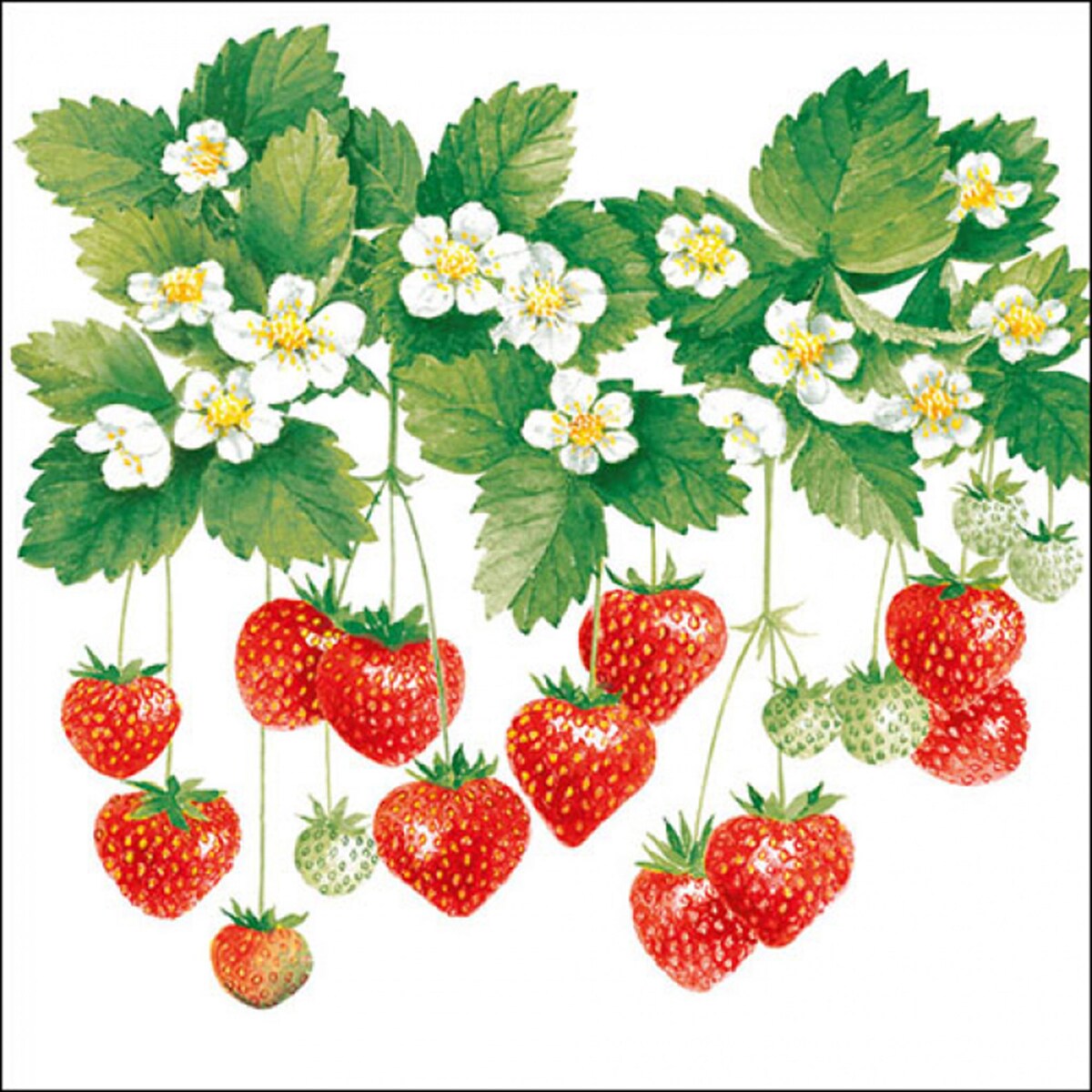 Ambiente 20 Servietten Papier 33x33cm 3-lagig - hochwertige Einweg Papierservietten Erdbeeren & Blüten Motiv Partyservietten Tischdeko Sommerdeko 