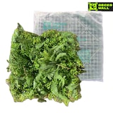 thumbnail of BALI | Paneles Pared Selva Artificial | Plantas Artificiales Montaje en Pared Selva Tropical | Paneles Pared Hostelería Peluquería Interior Exterior