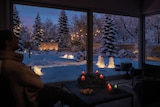 thumbnail of Paulmann Plug & Shine LED Lichtobjekt Tree   IP67 3000K 2W   Weiß 94185