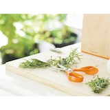 thumbnail of FISKARS Küchenschere 1000819 18cm