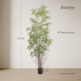 thumbnail of Bonerva | Bambú Nature 210 cm Altura | Planta artificial con Tronco natural | Ideal para decorar interiores: hogares, negocios y hoteles