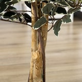 thumbnail of HOMCOM Ficus Artificial com Troncos Planta Artificial com Vaso e 702 Folhas Realistas para Ø15x130 cm Verde