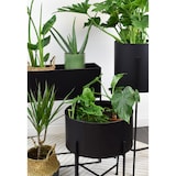 thumbnail of LOFT42 Flora Pflanzgefäß Rund - Metall - Mattschwarz - Ø40