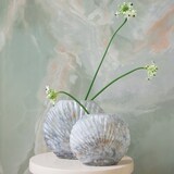 thumbnail of Vase 20x16cm Glas Blumenvase Glasvase Tischvase Blumen Dekovasen Tischvasen Gastronomie Tischdeko Hochzeitsdeko Vasen Weiß Beige Blau