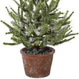 thumbnail of CREATIV green künstliche Pflanze Fichte mit Schnee im Topf, 55 cm, schnee