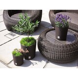 thumbnail of 2 x Blumentopf Blumenkübel Pflanzentopf Pflanzkübel Blumenkübel Rattan groß 2 x Ø 20 cm