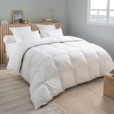 thumbnail of Couette Saphir Tempérée - 80% duvet de canard - 240/260 - DUNLOPILLO