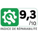 thumbnail of Aspirateur Traîneau avec sac RO6164EA