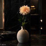 thumbnail of LAYBA Künstliche Dahlie 3er-Set Creme Apricot 60 cm