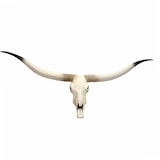 thumbnail of Décoshop26 - Déco crâne de vache tête de taureau trophée longhorn mural en polyrésine 103x43x11cm 04_0002819