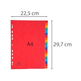 thumbnail of Exacompta 4803Z 5x Register mit bedruckten Taben aus Colorspan-Karton, 225g/qm, 20 Positionen, Taben A-Z, für Format DIN A4 - Farben sortiert