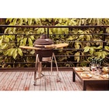 thumbnail of Buccan BBQ - Kamado barbecue - Sunbury Smokey Egg - Large 16" - Zwart