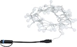 thumbnail of Paulmann Plug & Shine LED Lichterkette Warmweiß   IP44 3000K    Schwarz 94558
