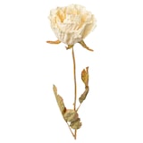 thumbnail of CREATIV green künstliche Pflanze Rose, 53cm, creme, 8er Set