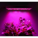thumbnail of Lâmpada LED para cultivo, espectro completo de 600 W com 588 LEDs, função de corrente em margarida UV e IR, luz para cultivo para plantas