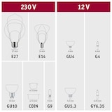 thumbnail of Paulmann 1879 Filament 230 V Globe LED G125 E27 130lm 4W 1800K gradable Verre fumé 28860
