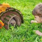 thumbnail of Relaxdays Igelhaus, Holz & Moos, Überwinterung für Igel im Garten, wetterfest, Igelhotel HxBxT: 20 x 40 x 42 cm, natur