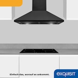 thumbnail of Exquisit Kamin-Dunstabzugshaube, 60cm Breite, Umluft, Abluft, 68 Watt, KH 60-8.3 inox