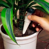 thumbnail of Prosperplast - Dispensador de Irrigação IDOZ - 3x3x3,5cm