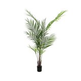 thumbnail of EUROPALMS Großblatt-Areca, Kunstpflanze, 165cm