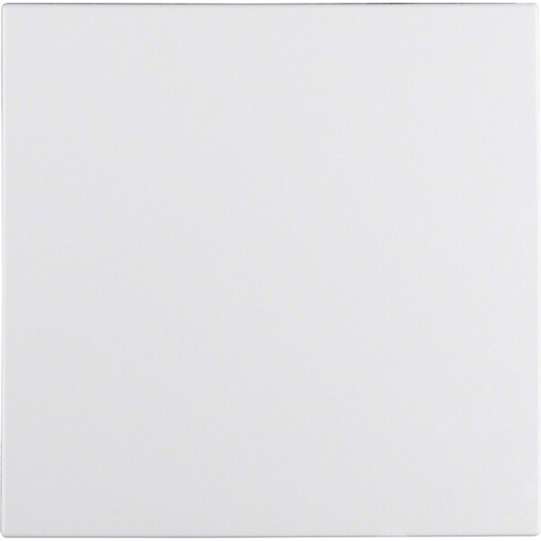 Berker Wippe 16291909