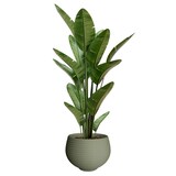 thumbnail of WellHome - Vaso "Coleção Safira", Ø32cm, cor verde