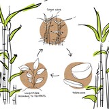 thumbnail of BIOZOYG 50 Stück Einwegteller rechteckig 26x13cm Bio Geschirr Zuckerrohr Teller stabil biologisch abbaubar kompostierbar Bagasse Einwegteller