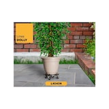 thumbnail of Soporte redondo con ruedas Diámetro 40 x 12,5 cm 4 Ruedas Capacidad máxima 275 kg Plantas Muebles o Equipo pesado KZ GARDEN