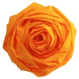 thumbnail of Paquet de 10 feuilles de papier crépon 60% Festif, 40 g/m², 2,50m x 0,50m, coloris jaune d'or (orangé)