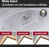 thumbnail of Paulmann LED Panel Atria Shine White Select  IP44 eckig 298x298mm  15,7W 2100lm 3000 - 6500K Holzoptik  71259