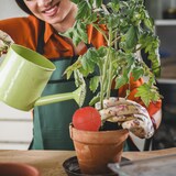 thumbnail of Relaxdays Tonkegel Basketball, 4er Set, Bewässerungskugeln, für 1,5L PET-Flaschen, Gießhilfe, Keramik, orange/terrakotta