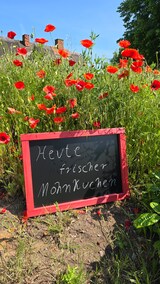 thumbnail of Kreidetafel mit Holzrahmen / Schwarz 70x50cm