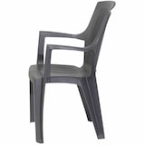 thumbnail of PROGARDEN Eden SET 4x St-Ses anthr. M73551