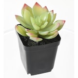 thumbnail of VERT ESPACE plante artificielle succulentes assortiment 12 pieces 20 cm
