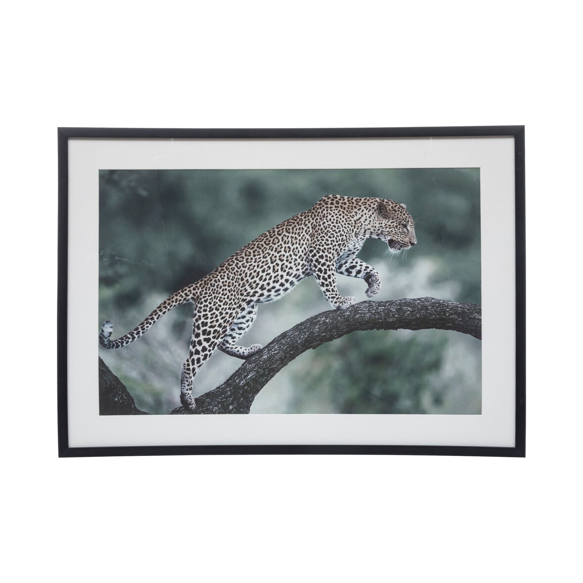 Tableau Toile murale imprimée et encadrée Majestueux Félin 70 x 50 cm