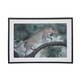 thumbnail of Tableau Toile murale imprimée et encadrée Majestueux Félin 70 x 50 cm