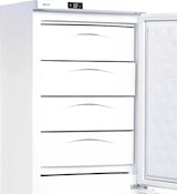 thumbnail of Vertikaler Gefrierschrank mit 256 Litern und 9+1 Schubladen für die Gastronomie. Zweitüriger Gefrierschrank für Bar und Restaurant.