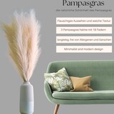 thumbnail of LAYBA Künstliches Pampasgras 3er-Set Beige 100 cm