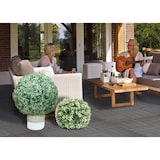 thumbnail of Kunststruik HWC-L77, buxus bol decoratieve plant buxus bol kunstplant buxus, buiten Ø 55cm ~ wit