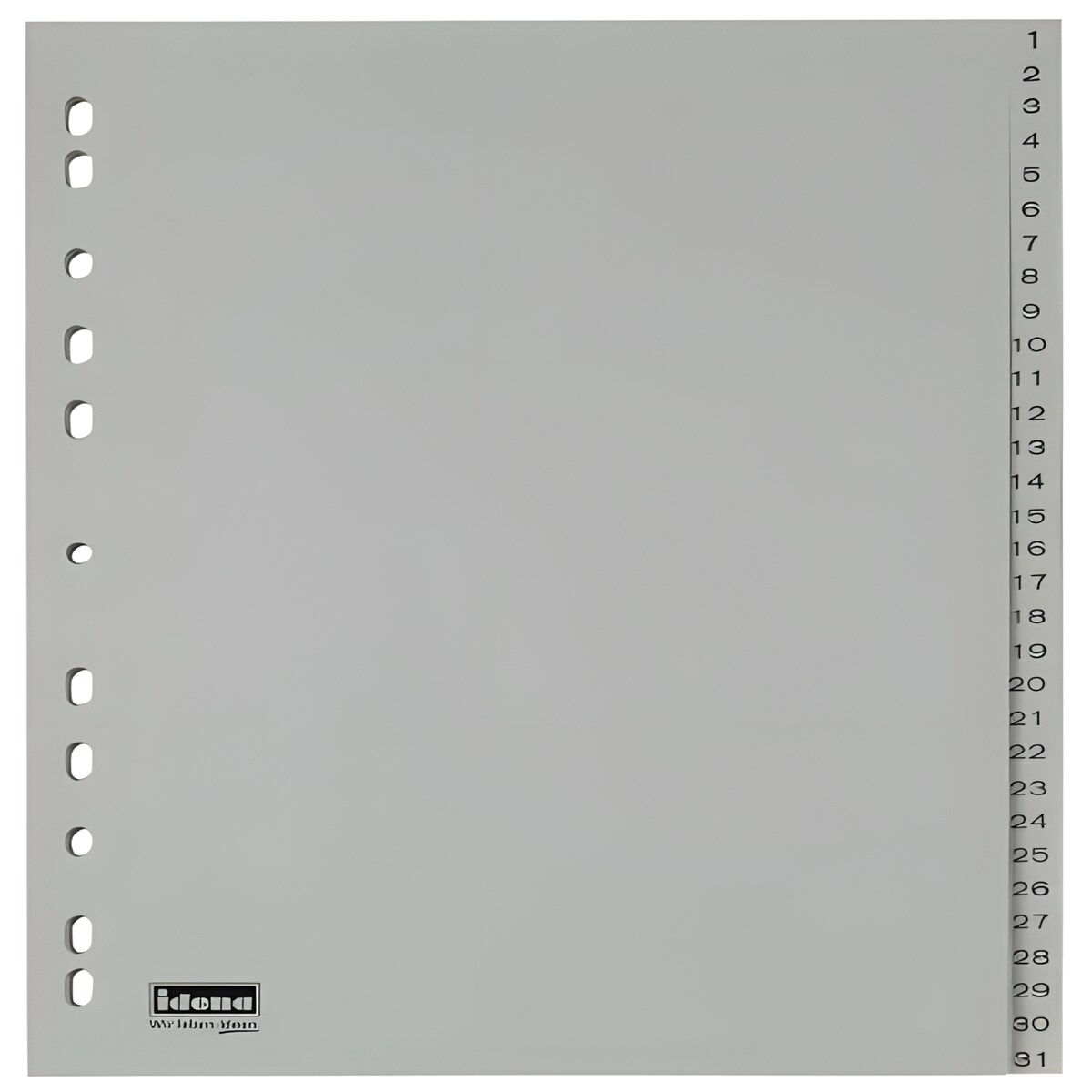 Idena 302009 - Register 1-31, DIN A4, volldeckend