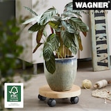 thumbnail of WAGNER Pflanzenroller BAUMSTAMM UNIKAT Ø 25-30 x 8 cm, für innen, Birkenholz, natur geölt, Tragkraft 50 kg - 20026801