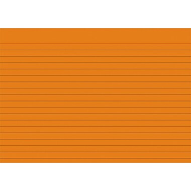 BRUNNEN Karteikarte 102250140 DIN A5 liniert or 100 St./Pack.