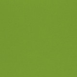 thumbnail of Moqueta ferial verde lima en rollo 1 x 60 (60 m²) Bodas / Eventos / Ferias / Desfiles