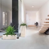 thumbnail of Prosperplast - URBI CASE BETON EFFECT W Blumentopf - 39,5 x 18,5 x 19,5 cm in Cremefarbe