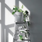 thumbnail of Prosperplast - FURU Bloempot - 12,2x12,2x12,2cm in antraciet kleur